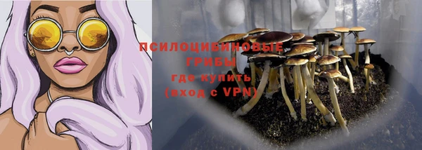 спайс Заводоуковск